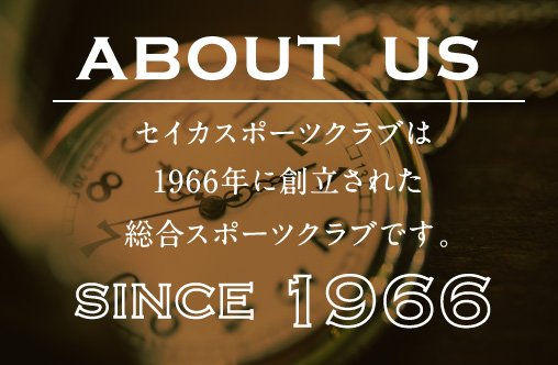 セイカスポーツについて